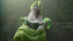 电影<里约大冒险2>片段之乃吉尔神曲多国语言混剪版.