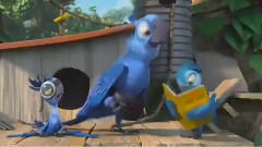 电影<里约大冒险2>中文片段之萌鸟家族启程亚马逊