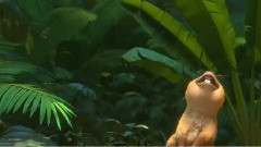 电影<里约大冒险2>先行版预告片