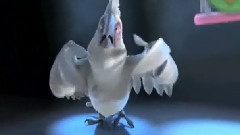 电影<里约大冒险>宣传片段之愤怒的小鸟 粤语对白