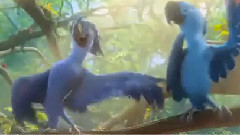 电影<里约大冒险2>中文片段之火星人布鲁诺展格莱美歌王实力