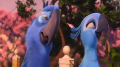 电影<里约大冒险>片段之Tell Her How You Feel