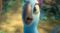 电影<里约大冒险2>中文版剧场预告片