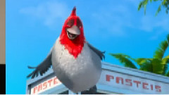 电影<里约大冒险>配音直击-下.