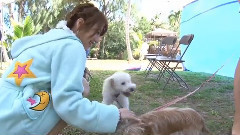 AKB48 42nd Single 唇にBe My Baby Type-C DVD特典映像テラみな 〜812テラバイトから厳選した高橋みなみ傑作集〜