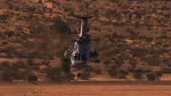 Brain Farm Cinema's Reel