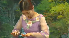 民乐群星 - 香山射鼓 古筝独奏