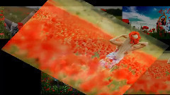 МАКОВИ ПОЛЕТА ... ...