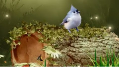 Omar Akram - Маргаритки - разпилени по поляните като бисери! ...