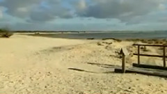 民乐群星 - 难忘泼水节 月琴版