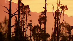 民乐群星 - 银湖金波 柳琴版