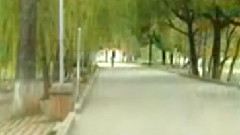 民乐群星 - 踏雪寻梅 扬琴版