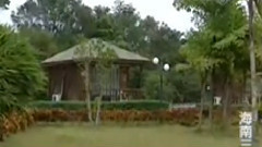 民乐群星 - 彝族舞曲 琵琶版