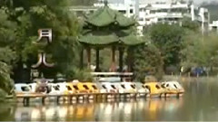 民乐群星 - 月儿高 琵琶版