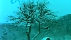 民乐群星 - 康定情歌 琵琶版