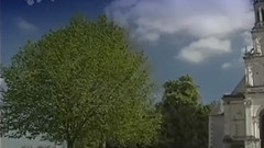 民乐群星 - 摇篮曲 琵琶版