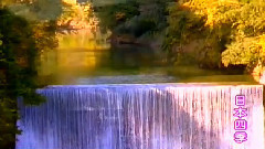 民乐群星 - 妹妹找哥泪花流 琵琶版