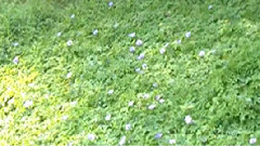 民乐群星 - 天黑黑 琵琶版