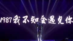 李宇春 - 1987我不知会遇见你