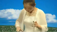 民乐群星 - 草原小姐妹 古筝独奏