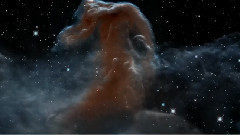 Horsehead Nebula Fly