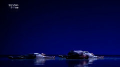 巴黎歌剧院芭蕾舞团:Aunis