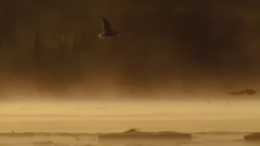 Omar Akram - A Day With You