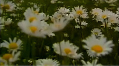 民乐群星 - 沉醉东风 扬琴独奏