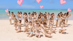 AKB48 - 拉布拉多寻猎犬