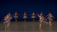 巴黎歌剧院芭蕾舞团:theme et variations