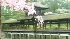 民乐群星 - 聪明累 洞箫版