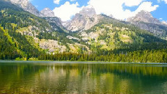 阳光天使 新年好预兆