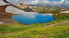 夏日娃娃-生日诞辰歌