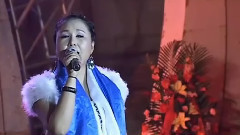 我要飞 & 爱你只是一厢情愿 & 草原之恋