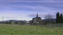 民乐群星 - 常回家看看 洞箫版