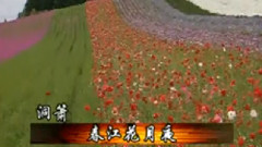 民乐群星 - 春江花月夜 洞箫版