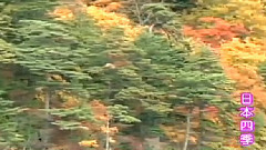 民乐群星 - 敖包相会 中胡独奏