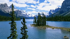 夏日娃娃 杜鹃花
