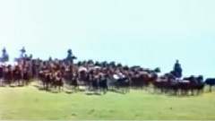 民乐群星 - 牧羊姑娘 洞箫版