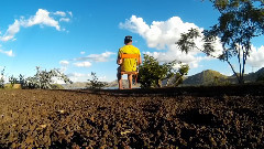 Porket - Endemic Quad