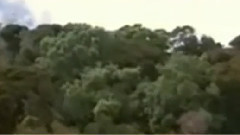 民乐群星 - 菊花台 葫芦丝版