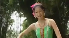 民乐群星 - 金色孔雀 葫芦丝版