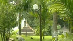 民乐群星 - 四季歌 高胡版