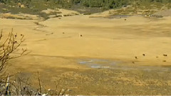 民乐群星 - 几度花落时 丝竹音乐