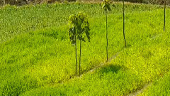 民乐群星 - 晚风 丝竹音乐