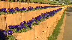 民乐群星 - 小时候 丝竹音乐