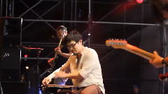 沼泽乐队 - 落木