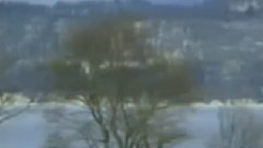 民乐群星 - 让我欢喜让我忧 二胡版