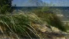 民乐群星 - 相思风雨中 二胡版