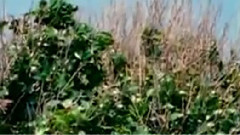 民乐群星 - 真的好想你 二胡版